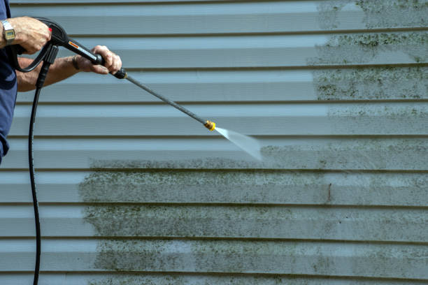 Best Pool Deck Cleaning  in Rosenhayn, NJ